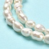 Natural Cultured Freshwater Pearl Beads Strands PEAR-E016-063-4