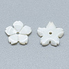 Freshwater Shell Beads X-SHEL-S275-033-2