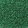 12/0 Glass Seed Beads SEED-A017-2mm-1114-2