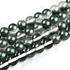 Baking Paint Transparent Glass Beads Strands DGLA-N011-10mm-07-1