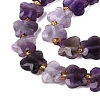 Natural Amethyst Beads Strands G-N371-10A-04-4