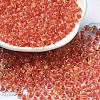 Transparent Glass Round Seed Beads X1-SEED-B001-05A-24-1