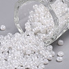 8/0 Glass Seed Beads SEED-US0003-3mm-141-1