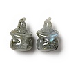 Natural Labradorite Home Display Decorations DJEW-F018-01A-1