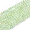 Natural Prehnite Beads Strands G-G792-33A-1