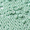 Opaque Colours Luster Glass Seed Beads SEED-E001-P3x6mm-A03-3