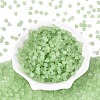 FGB Frosted Transparent Glass Seed Beads SEED-N013-03A-08-2