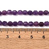 Natural Lepidolite/Purple Mica Stone Beads Strands G-A260-A04-01-6
