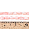 Natural Trochus Shell Beads Strands SHEL-K006-19-01F-4