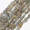 Natural Labradorite Beads Strands G-F521-42-1