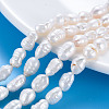 Natural Keshi Pearl Beads Strands PEAR-S020-T07-1