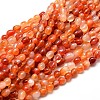 Dyed Natural Carnelian Gemstone Smooth Nuggets Bead Strands G-J335-03-1