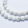 Natural Howlite Beads Strands G-P353-01-8mm-3