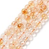 Heated Natural Citrine Beads Strands G-A262-A01-5mm-2