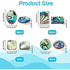 16Pcs 4 Style Natural Shell Cabochons SSHEL-BC0001-23-2