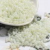 Glass Seed Beads SEED-K009-02B-25-1