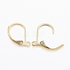 304 Stainless Steel Leverback Earring Findings STAS-L190-14G-2