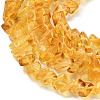 Natural Amber Beads Strands G-K376-C02-01-4
