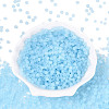 FGB Frosted Transparent Glass Seed Beads SEED-N013-04A-11-2