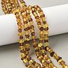 Natural Amber Beads Strands G-L095-E01-03-1