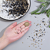 19 Styles Seed Beads & Glass Bugle Beads Kits SEED-PH0002-58-3