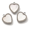 304 Stainless Steel Charms STAS-S148-10P-1