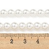 Glass Pearl Beads Strands X-HY-G002-01C-01-5