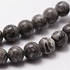 Natural Map Stone/Picasso Stone/Picasso Jasper Bead Strands G-D840-60-12mm-3