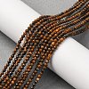 Natural Tiger Iron Beads Strands G-RM250104-B5-2