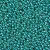 TOHO Round Seed Beads SEED-XTR11-PF0569-2