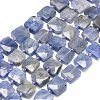 Natural Tanzanite Beads Strands G-G106-D01-01-1