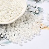 Glass Seed Beads SEED-H002-E-A121-1