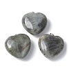 Natural Labradorite Pendants G-A259-02P-02-1
