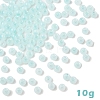 10G Glass Seed Beads SEED-YW0003-03G-1