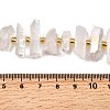 Electroplated Natural Quartz Crystal Beads Strands G-F800-F11-4
