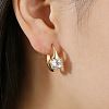 Brass Pave Clear Cubic Zirconia Hoop Earrings WGEEE3C-01-3