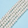 Natural Cultured Freshwater Pearl Beads Strands PEAR-F018-13F-01-2