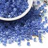 Glass Seed Beads X1-SEED-H002-F-1114-1