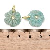 Natural Gemstone Pendants GG-NH0016-01G-4