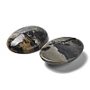 Natural Dendritic Jasper Cabochons X-G-F608-02A-01-2
