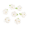 30Pcs Acrylic with Plastic Pearl Charms PALLOY-JF04066-1