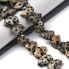 Natural Dalmatian Jasper Beads Strands G-F783-G06-01-2