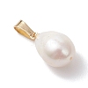 Natural Cultured Freshwater Pearl Pendants PALLOY-JF04963-4