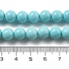 Synthetic Turquoise Beads Strands G-A255-A04-01B-5