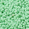 Glass Frosted Seed Beads SEED-K009-05B-05-3