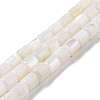 Natural Freshwater Shell Beads Strands SHEL-F008-04A-1