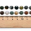 Natural Indian Agate Beads Strands G-T131-77A-7