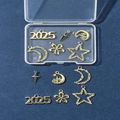 12Pcs 6 Styles Alloy Pendants FIND-FS0003-38G-1