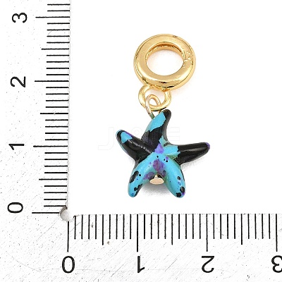 Brass Resin European Dangle Charms KK-CBA3642-01G-03-1