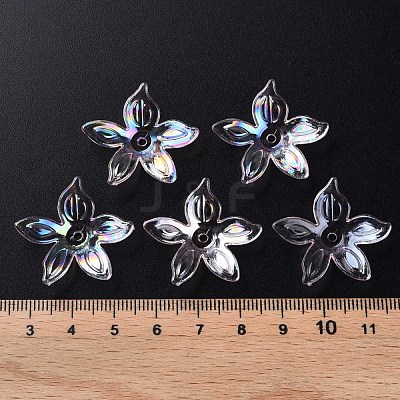 Transparent Acrylic Beads MACR-S373-102-C02-1